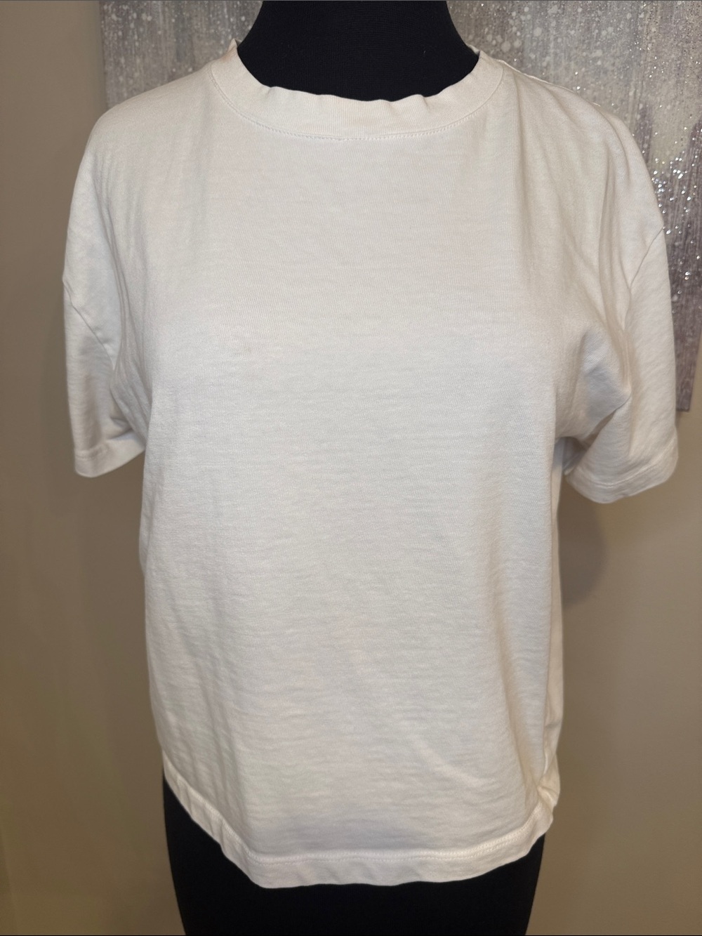 Zara Classic Women's Crewneck Tee in White size Medium